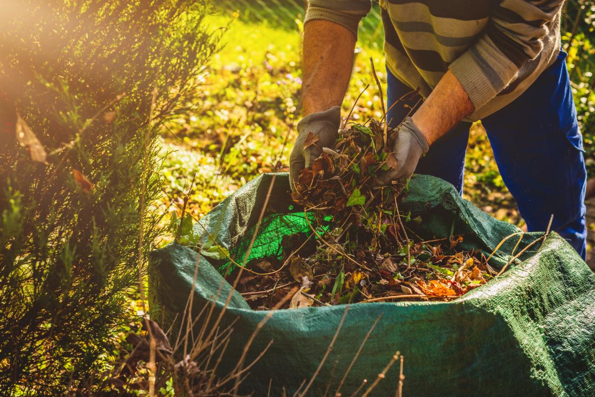 Yard Waste Cleanup And Junk Removal Restoring Well-Maintained Outdoor Spaces
