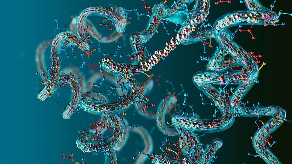 Biological Mechanisms Connect Peptide Activity with Complex Testosterone Production Processes